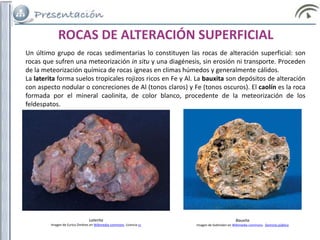 Un último grupo de rocas sedimentarias lo constituyen las rocas de alteración superficial: son
rocas que sufren una meteorización in situ y una diagénesis, sin erosión ni transporte. Proceden
de la meteorización química de rocas ígneas en climas húmedos y generalmente cálidos.
La laterita forma suelos tropicales rojizos ricos en Fe y Al. La bauxita son depósitos de alteración
con aspecto nodular o concreciones de Al (tonos claros) y Fe (tonos oscuros). El caolín es la roca
formada por el mineral caolinita, de color blanco, procedente de la meteorización de los
feldespatos.
ROCAS DE ALTERACIÓN SUPERFICIAL
Laterita
Imagen de Eurico Zimbres en Wikimedia commons. Licencia cc
Bauxita
Imagen de Svdmolen en Wikimedia commons. Dominio público
 