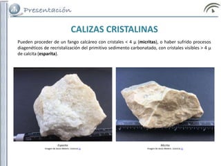 Pueden proceder de un fango calcáreo con cristales < 4 μ (micritas), o haber sufrido procesos
diagenéticos de recristalización del primitivo sedimento carbonatado, con cristales visibles > 4 μ
de calcita (esparita).
CALIZAS CRISTALINAS
Esparita
Imagen de Jesús Melero. Licencia cc
Micrita
Imagen de Jesús Melero. Licencia cc
 