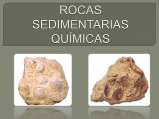 Rocas Quimicas Sedimentarias