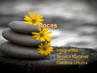 Integrantes:
Tamara Martinez
Carolina Urtubia
 