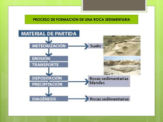 PROCESO DE FORMACION DE UNA ROCA SEDIMENTARIA
 