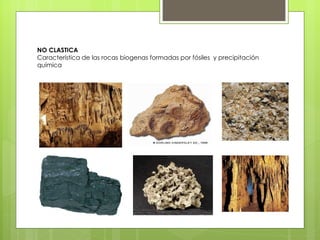 NO CLASTICA
Característica de las rocas biogenas formadas por fósiles y precipitación
química
 