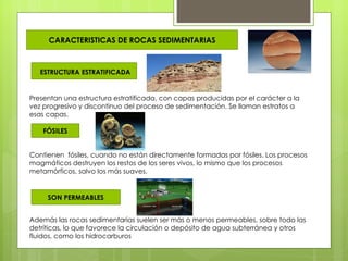 CARACTERISTICAS DE ROCAS SEDIMENTARIAS



   ESTRUCTURA ESTRATIFICADA


Presentan una estructura estratificada, con capas producidas por el carácter a la
vez progresivo y discontinuo del proceso de sedimentación. Se llaman estratos a
esas capas.

    FÓSILES


Contienen fósiles, cuando no están directamente formadas por fósiles. Los procesos
magmáticos destruyen los restos de los seres vivos, lo mismo que los procesos
metamórficos, salvo los más suaves.


     SON PERMEABLES


Además las rocas sedimentarias suelen ser más o menos permeables, sobre todo las
detríticas, lo que favorece la circulación o depósito de agua subterránea y otros
fluidos, como los hidrocarburos
 