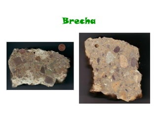 Brecha Roca Rocas sedimentarias | PPT