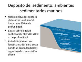 Depósito del sedimento: ambientes
       sedimentarios marinos
• Neritico: situados sobre la
  plataforma continental
  hasta unos 200 m de
  profundidad
• Batial: sobre el talud
  continental entre 200-2000
  m de profundidad
• Abisal:situados en los
  fondos alejados de la costa
  donde se acumulan barros
  organicos de composición
  silicea
 