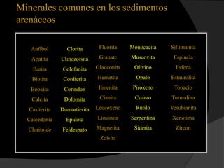 Minerales comunes en los sedimentos
arenáceos

   Anfibol       Clorita       Fluorita    Monocacita   Sillimanita

   Apatita     Clinozoisita    Granate     Muscovita     Espinela

    Barita      Colofanita    Glauconita    Olivino       Esfena

   Biotita      Cordierita    Hematita       Opalo      Estaurolita

   Bookita      Corindon       Ilmenita     Piroxeno     Topacio

   Calcita      Dolomita       Cianita      Cuarzo      Turmalina

  Casiterita   Dumortierita   Leucoxeno      Rutilo     Vesubianita

  Calcedonia     Epidota      Limonita     Serpentina   Xenotima

  Cloritoide   Feldespato     Magnetita     Siderita      Zircon
                               Zoisita
 