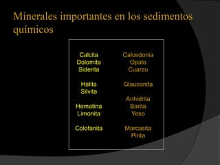 Minerales importantes en los sedimentos
químicos

              Calcita     Calcedonia
             Dolomita       Opalo
             Siderita      Cuarzo

               Halita     Glauconita
               Silvita
                           Anhidrita
             Hematina       Barita
             Limonita       Yeso

             Colofanita   Marcasita
                           Pirita
 