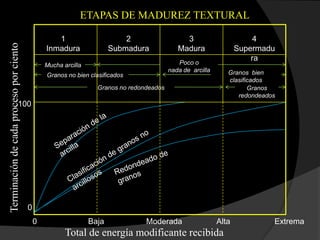 ETAPAS DE MADUREZ TEXTURAL

                                                    1                       2                   3                       4
Terminación de cada proceso por ciento


                                                 Inmadura               Submadura             Madura                Supermadu
                                                                                                                        ra
                                                 Mucha arcilla                                Poco o
                                                                                           nada de arcilla      Granos bien
                                                 Granos no bien clasificados
                                                                                                                clasificados
                                                                   Granos no redondeados                               Granos
                                                                                                                   redondeados
                              100




                                         0
                                             0                   Baja             Moderada                   Alta            Extrema
                                                        Total de energía modificante recibida
 