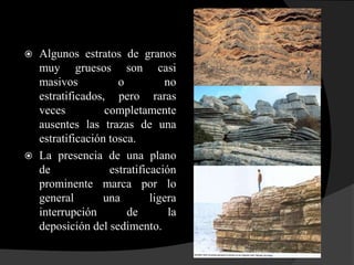  Algunos estratos de granos
  muy gruesos son casi
  masivos           o          no
  estratificados, pero raras
  veces          completamente
  ausentes las trazas de una
  estratificación tosca.
 La presencia de una plano
  de              estratificación
  prominente marca por lo
  general        una        ligera
  interrupción        de        la
  deposición del sedimento.
 