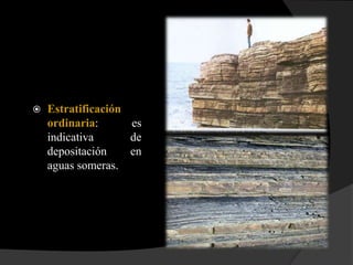    Estratificación
    ordinaria:      es
    indicativa      de
    depositación    en
    aguas someras.
 