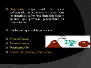    Diagénesis:     etapa   final    del    ciclo
    sedimentario, en la que una vez depositados
    los materiales sufren una alteración física y
    química, que provocan generalmente su
    compactación.

   Los factores que la determinan son:

 Recristalizacion
 Metasomatismo
 Deshidratación
 Cambios de presión y temperatura
 
