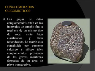 CONGLOMERADOS
OLIGOMICTICOS

   Las guijas de estos
    conglomerados están en los
    intervalos de tamaño fino a
    mediano de un mismo tipo
    de     roca,   están   bien
    clasificados     y     bien
    redondeados. La matriz esta
    constituida por cemento
    calcáreo y silíceo tales
    conglomerados provienen
    de las gravas marítimas
    formadas de un área de
    playa transgresiva.
 