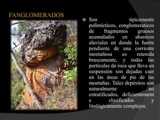 FANGLOMERADOS
                   Son                  típicamente
                    polimícticos, conglomeraticos
                    de      fragmentos        gruesos
                    acumulados en abanicos
                    aluviales en donde la fuerte
                    pendiente de una corriente
                    montañosa         es     retenida
                    bruscamente, y todas las
                    partículas de roca que lleva en
                    suspensión son dejadas caer
                    en las áreas de pie de las
                    montañas. Tales depósitos son
                    naturalmente                   no
                    estratificados, deficientement
                    e          clasificados         y
                    litológicamente complejos.
 