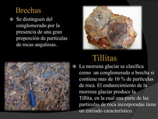 Brechas
   Se distinguen del
    conglomerado por la
    presencia de una gran
    proporción de partículas
    de rocas angulosas.

                                         Tillitas
                                  La morrena glaciar se clasifica
                                   como un conglomerado o brecha si
                                   contiene mas de 10 % de partículas
                                   de roca. El endurecimiento de la
                                   morrena glaciar produce la
                                   Tillíta, en la cual una parte de las
                                   partículas de roca incorporadas tiene
                                   un estriado característico.
 