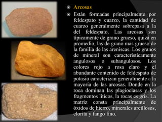    Arcosas
   Están formadas principalmente por
    feldespato y cuarzo, la cantidad de
    cuarzo generalmente sobrepasa a la
    del feldespato. Las arcosas son
    típicamente de grano grueso, quizá en
    promedio, las de grano mas grueso de
    la familia de las areniscas. Los granos
    de mineral son característicamente
    angulosos o subangulosos. Los
    colores rojo a rosa claro y el
    abundante contenido de feldespato de
    potasio caracterizan generalmente a la
    mayoría de las arcosas. Donde en la
    roca dominan las plagioclasas y los
    fragmentos líticos, la rocas es gris. La
    matriz consta principalmente de
    óxidos de hierro, minerales arcillosos,
    clorita y fango fino.
 