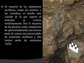    El material de los sedimentos
    arcillosos, como las pizarras y
    las Limolitas, es mucho mas
    variado de lo que sugiere al
    principio        su       textura
    uniformemente fina la mayoría
    de las pizarras están compuestas
    de aproximadamente una tercera
    parte de cuarzo una tercera parte
    de materiales arcillosos y una
    tercera parte de sustancias
    varias
 