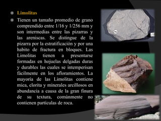  Limolitas
 Tienen un tamaño promedio de grano
  comprendido entre 1/16 y 1/256 mm y
  son intermedias entre las pizarras y
  las areniscas. Se distingue de la
  pizarra por la estratificación y por una
  habito de fractura en bloques. Las
  Limolitas tienen a presentarse
  formadas en hojuelas delgadas duras
  y durables las cuales se intemperisan
  fácilmente en los afloramientos. La
  mayoría de las Limolitas contiene
  mica, clorita y minerales arcillosos en
  abundancia a causa de la gran finura
  de su textura, comúnmente no
  contienen partículas de roca.
 