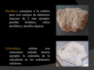 Pisolitica: semejante a la oolítica
   pero con cuerpos de diámetros
   mayores de 2 mm ejemplo:
   pisolita      fosfática,    caliza
   pisolitica y pisolita algácea.




Esferulitica:   esferas     con
   estructuras radiada interna
   ejemplo: la esferulita de la
   calcedonia en los sedimentos
   calcáreos.
 