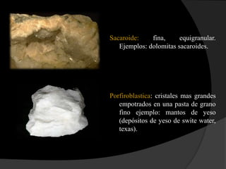 Sacaroide:    fina,     equigranular.
   Ejemplos: dolomitas sacaroides.




Porfiroblastica: cristales mas grandes
   empotrados en una pasta de grano
   fino ejemplo: mantos de yeso
   (depósitos de yeso de swite water,
   texas).
 