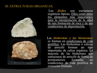 III. ESTRUCTURAS ORGANICAS
                         Los fósiles son estructuras
                        orgánicas típicas. Ellos están entre
                        los elementos más importantes
                        para la interpretación de la edad
                        de una formación de roca y de sus
                        condiciones de depositación.


                            Las biohermas y las biostromas
                            se forman en condiciones de vida
                            prolífica. Las biohermas o calizas
                            de arrecife forman un tipo
                            importante de caliza orgánica. La
                            mayoría de las biohermas son
                            estructuras de arrecife de forma de
                            promontorios       formadas      en
                            condiciones de vida prolífica de
                            extensión limitada.
 