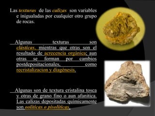 Las texturas de las calizas son variables
   e inigualadas por cualquier otro grupo
   de rocas.


  Algunas            texturas       son
  clásticas, mientras que otras son el
  resultado de acrecencia orgánica; aun
  otras se forman por cambios
  postdepositacionales,           como
  recristalizacion y diagénesis.


  Algunas son de textura cristalina tosca
  y otras de grano fino o aun afanitica.
  Las calizas depositadas químicamente
  son oolíticas o pisolíticas.
 