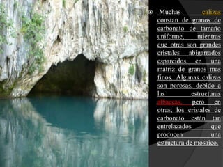     Muchas          calizas
    constan de granos de
    carbonato de tamaño
    uniforme,      mientras
    que otras son grandes
    cristales abigarrados
    esparcidos en una
    matriz de granos mas
    finos. Algunas calizas
    son porosas, debido a
    las          estructuras
    albaceas, pero en
    otras, los cristales de
    carbonato están tan
    entrelazados        que
    producen            una
    estructura de mosaico.
 