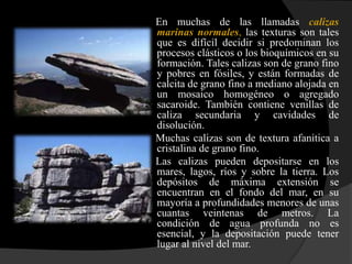 En muchas de las llamadas calizas
marinas normales, las texturas son tales
que es difícil decidir si predominan los
procesos clásticos o los bioquímicos en su
formación. Tales calizas son de grano fino
y pobres en fósiles, y están formadas de
calcita de grano fino a mediano alojada en
un mosaico homogéneo o agregado
sacaroide. También contiene venillas de
caliza secundaria y cavidades de
disolución.
Muchas calizas son de textura afanitica a
cristalina de grano fino.
Las calizas pueden depositarse en los
mares, lagos, ríos y sobre la tierra. Los
depósitos de máxima extensión se
encuentran en el fondo del mar, en su
mayoría a profundidades menores de unas
cuantas veintenas de metros. La
condición de agua profunda no es
esencial, y la depositación puede tener
lugar al nivel del mar.
 