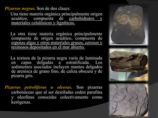 Pizarras negras. Son de dos clases:
   Una tiene materia orgánica principalmente origen
   acuático, compuesta de carbohidratos y
   materiales celulósicos y ligníticos.

   La otra tiene materia orgánica principalmente
   compuesta de origen acuático, compuesta de
   esporas algas y otros materiales grasos, cerosos y
   resinosos depositados en el mar abierto.

   La textura de la pizarra negra varia de laminada
   en capas delgadas a estratificada. Los
   sedimentos asociados incluyen mantos delgados
   de arenisca de grano fino, de caliza obscura y de
   pizarra gris.

Pizarras petrolíferas u oleosas. Son pizarras
   carbonáceas que al ser destiladas ceden parafina
   y oleofinas conocidas colectivamente como
   kerógenas.
 