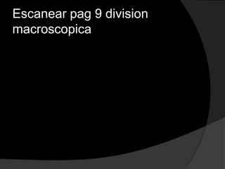 Escanear pag 9 division
macroscopica
 