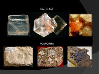 SAL GEMA




FOSFORITA
 