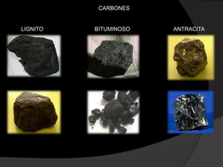 CARBONES


LIGNITO   BITUMINOSO   ANTRACITA
 
