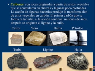 ●   Carbones: son rocas originadas a partir de restos vegetales
    que se acumularon en charcas y lagunas poco profundas.
    La acción de algunas bacterias produjo la transformación
    de estos vegetales en carbón. El primer carbón que se
    forma es la turba, si la acción continúa, millones de años
    después se originan el lignito y la hulla.
    Caliza         Yeso               Halita      Petróleo




     Turba                  Lignito                 Hulla
 
