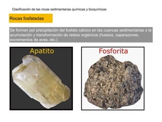 Clasificación de las rocas sedimentarias químicas y bioquímicas
Se forman por precipitación del fosfato cálcico en las cuencas sedimentarias o la
acumulación y transformación de restos orgánicos (huesos, caparazones,
excrementos de aves, etc.).
Rocas fosfatadas
 