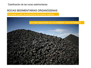 Clasificación de las rocas sedimentarias
ROCAS SEDIMENTARIAS ORGANÓGENAS
Formadas a partir de sedimentos de materia orgánica
Los más importantes son el CARBÓN Y EL PETRÓLEO
 