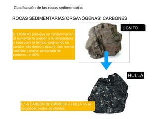 Clasificación de las rocas sedimentarias
ROCAS SEDIMENTARIAS ORGANÓGENAS: CARBONES
El LIGNITO prosigue su transformación
al aumentar la presión y la temperatura
y transcurrir el tiempo, originando un
carbón más denso y oscuro, con menos
volatiles y mayor porcentaje de
carbono, un 80%.
HULLA
En el CARBÓN BITUMINOSO o HULLA no se
reconocen restos de plantas.
 