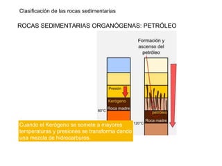 Clasificación de las rocas sedimentarias
ROCAS SEDIMENTARIAS ORGANÓGENAS: PETRÓLEO
Cuando el Kerógeno se somete a mayores
temperaturas y presiones se transforma dando
una mezcla de hidrocarburos.
 