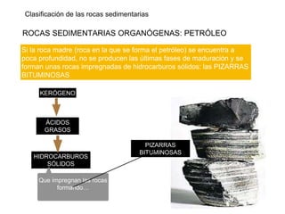 Clasificación de las rocas sedimentarias
ROCAS SEDIMENTARIAS ORGANÓGENAS: PETRÓLEO
Si la roca madre (roca en la que se forma el petróleo) se encuentra a
poca profundidad, no se producen las últimas fases de maduración y se
forman unas rocas impregnadas de hidrocarburos sólidos: las PIZARRAS
BITUMINOSAS
KERÓGENO
ÁCIDOS
GRASOS
HIDROCARBUROS
SÓLIDOS
Que impregnan las rocas
formando…
PIZARRAS
BITUMINOSAS
 