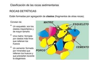 Clasificación de las rocas sedimentarias
ROCAS DETRÍTICAS
Están formadas por agregación de clastos (fragmentos de otras rocas).
Constan de:
* Un esqueleto: son los
clastos mayoritarios y
de mayor tamaño
* Una matriz: formada
por clastos más finos
que rellenan los
huecos
* Un cemento: formado
por minerales que
rellenan los huecos y
que precipitan durante
la diagénesis
 