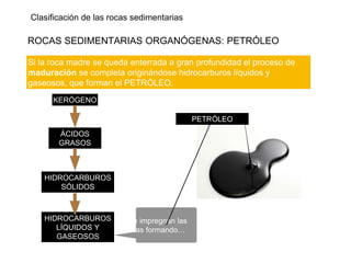 Clasificación de las rocas sedimentarias
ROCAS SEDIMENTARIAS ORGANÓGENAS: PETRÓLEO
Si la roca madre se queda enterrada a gran profundidad el proceso de
maduración se completa originándose hidrocarburos líquidos y
gaseosos, que forman el PETRÓLEO.
KERÓGENO
ÁCIDOS
GRASOS
HIDROCARBUROS
SÓLIDOS
HIDROCARBUROS
LÍQUIDOS Y
GASEOSOS
Que impregnan las
rocas formando…
PETRÓLEO
 