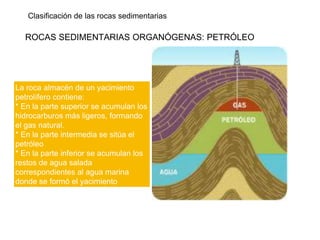 Clasificación de las rocas sedimentarias
ROCAS SEDIMENTARIAS ORGANÓGENAS: PETRÓLEO
La roca almacén de un yacimiento
petrolífero contiene:
* En la parte superior se acumulan los
hidrocarburos más ligeros, formando
el gas natural.
* En la parte intermedia se sitúa el
petróleo
* En la parte inferior se acumulan los
restos de agua salada
correspondientes al agua marina
donde se formó el yacimiento
 