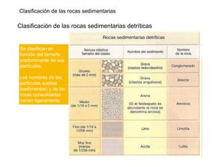 Clasificación de las rocas sedimentarias
Clasificación de las rocas sedimentarias detríticas
Se clasifican en
función del tamaño
predominante de sus
partículas.
Los nombres de las
partículas sueltas
(sedimentos) y de las
rocas consolidadas
varían ligeramente.
 