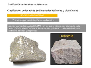 Clasificación de las rocas sedimentarias
Clasificación de las rocas sedimentarias químicas y bioquímicas
ROCAS CARBONATADAS
Formadas por precipitación de carbonatos
Las más abundantes son las CALIZAS , en las que el mineral más abundante es la
calcita (CaCO3) y las DOLOMÍAS, formadas principalmente por el mineral dolomita
(carbonato de calcio y magnesio)
 