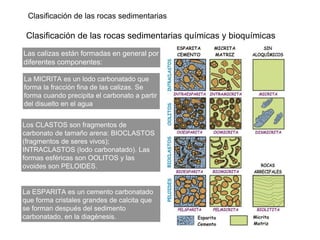 Clasificación de las rocas sedimentarias
Clasificación de las rocas sedimentarias químicas y bioquímicas
Las calizas están formadas en general por
diferentes componentes:
La MICRITA es un lodo carbonatado que
forma la fracción fina de las calizas. Se
forma cuando precipita el carbonato a partir
del disuelto en el agua
La ESPARITA es un cemento carbonatado
que forma cristales grandes de calcita que
se forman después del sedimento
carbonatado, en la diagénesis.
Los CLASTOS son fragmentos de
carbonato de tamaño arena: BIOCLASTOS
(fragmentos de seres vivos);
INTRACLASTOS (lodo carbonatado). Las
formas esféricas son OOLITOS y las
ovoides son PELOIDES.
 