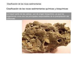 Clasificación de las rocas sedimentarias
Clasificación de las rocas sedimentarias químicas y bioquímicas
La mayor parte de las calizas son de origen bioquímico, ya que los
organismos vivos son los principales responsables de la precipitación del
carbonato
 