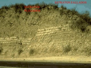 ESTRATOS FALLADOS
ESTRATOS
PLEGADOS
 