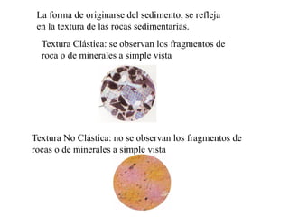 La forma de originarse del sedimento, se refleja
 en la textura de las rocas sedimentarias.
  Textura Clástica: se observan los fragmentos de
  roca o de minerales a simple vista




Textura No Clástica: no se observan los fragmentos de
rocas o de minerales a simple vista
 