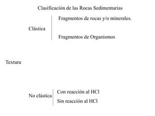 Clasificación de las Rocas Sedimentarias

                        Fragmentos de rocas y/o minerales.

          Clástica
                        Fragmentos de Organismos



Textura




                        Con reacción al HCl
          No clástica
                        Sin reacción al HCl
 