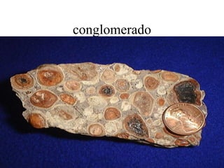 conglomerado
 