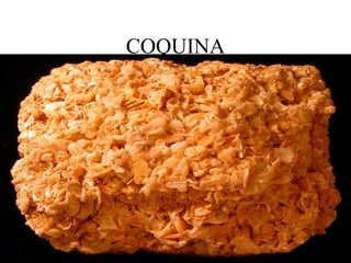 COQUINA
 