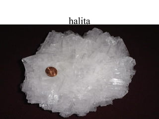 halita
 